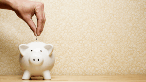 Budget smarter by needs, wats, and savings.